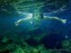 red sea snorkeling egypt