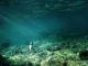 red sea snorkeling egypt underwater-pictures with a olympus though
