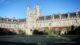 Cork University