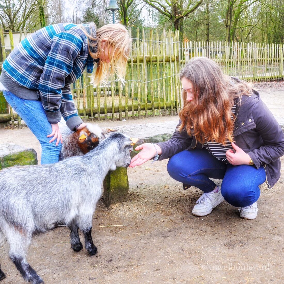 center parcs boerderij
