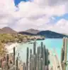 playa kalki beach curacao cactus